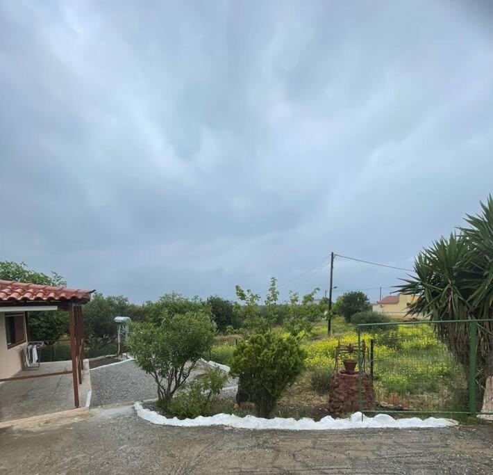 Philip & Vivian's House Holiday home Vinglafia